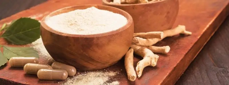 Ashwagandha – jaké má účinky a jak vybrat tu správnou?