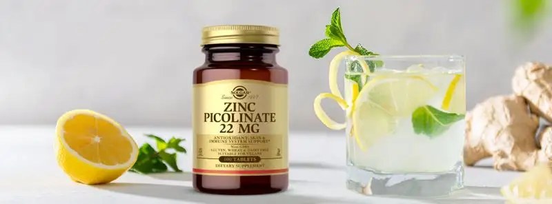 Kompletní průvodce zinkem